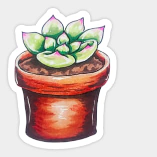 Cute Potted Succulent Sticker